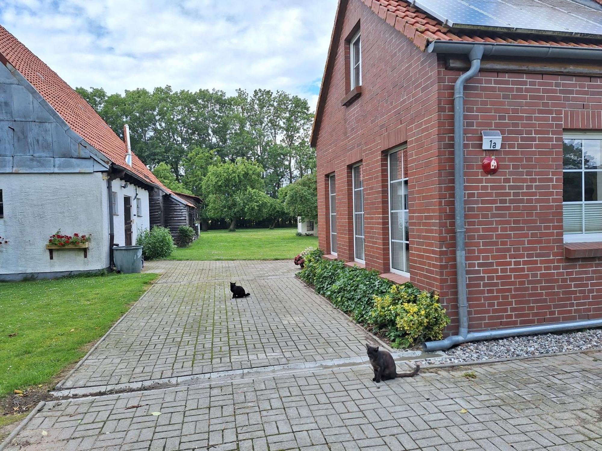 Das Apfelhaus Rappin Exteriér fotografie